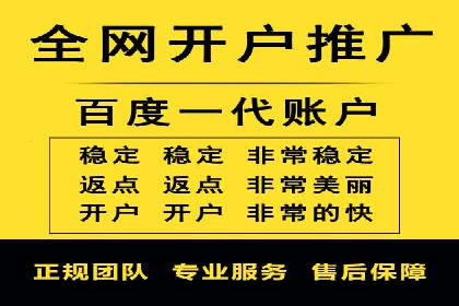 百度竞价代运营公司成功案例分析